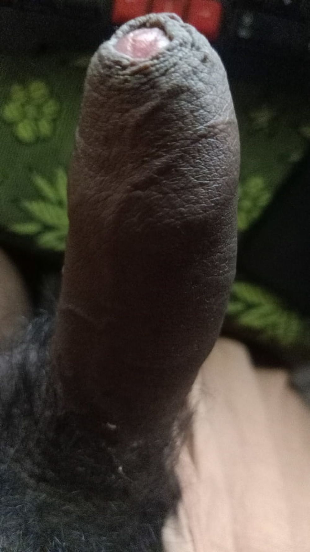 my penis