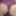 Training Progress Report and Big Reveal hehehe  #4