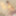 AIRA :: To Instigate A Spring Show - CARIBBEANCOM #6