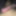 My Dick