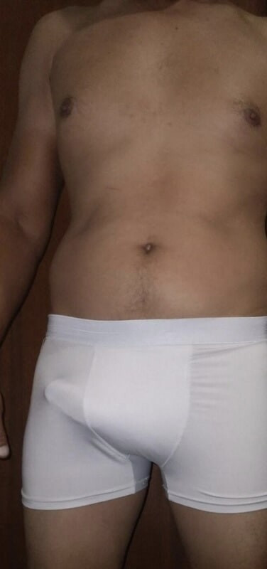 PAU PEQUENO E GROSSO  #2