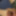 Haired Dick &amp; Balls Cockhead Foreskin  Masturbation 