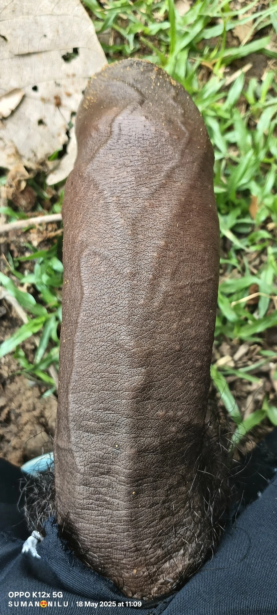XxX