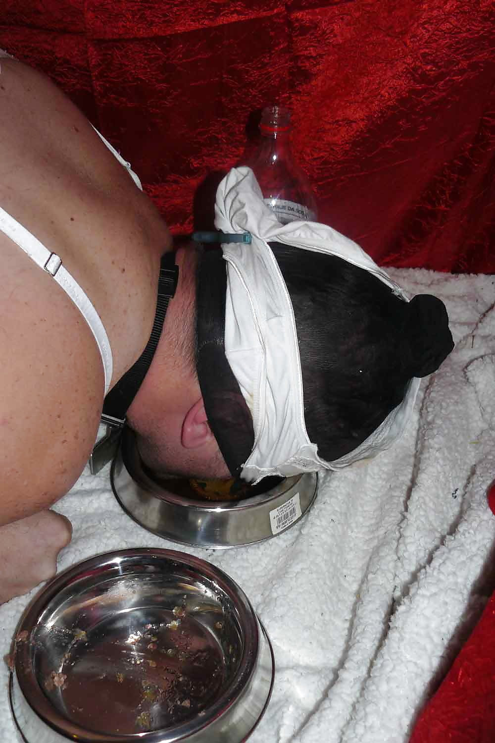 sissy-doggie eat dogfood for Mistress Celine #18