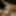 Annadevot - ass and balls licked &amp; rewarded with sperm
