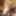 🥵Willy Alexandru Petre - Hot And Spicy Male In Intimacy