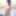 Tranny babes Dani Peterson n Nicolly Pantoja enjoy barebacki