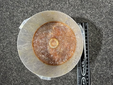 La mia sborra raccolta