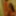 Cute girlfriend fingering herself while taking a shower #4