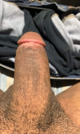 Mi dick