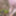 Yeni Hard Gifs