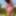 Pee Outdoor
