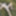 The Forest's Timekeeper #11