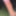 Dick