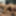 SEXUAL FANTASIES - SHARING DILDO AS A COUPLE BISEXUAL 2 #10