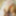 Emiri Momota :: Strong Abdom - CARIBBEANCOM #16