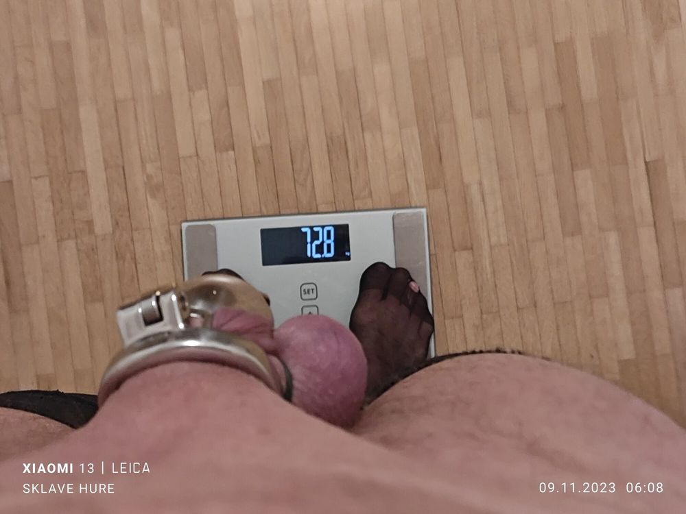 Mandatory weighing cagecheck plugcheck November 09, 2023