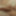 My penis #11