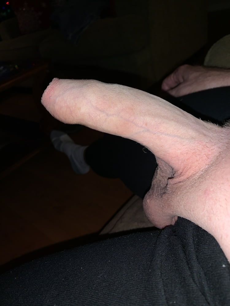 Cock #24