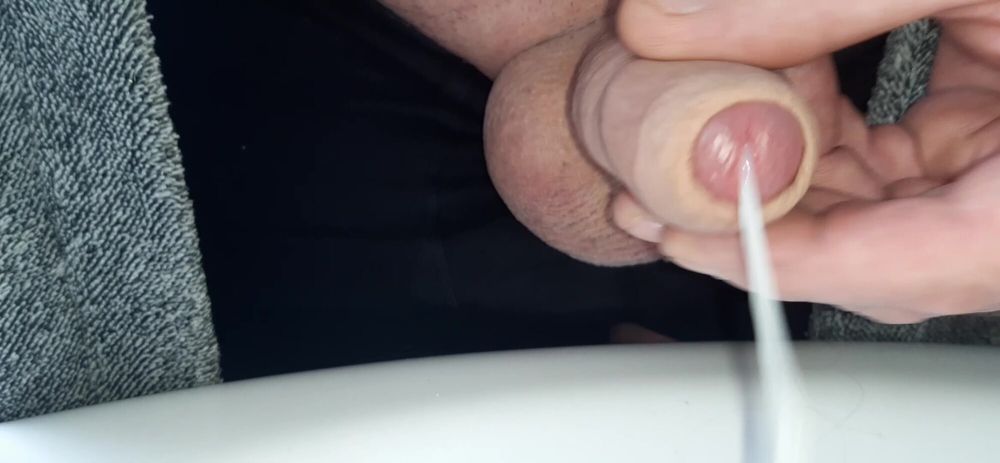 Cock #3