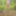 Fag Christoph Straubinger naked in the forest #2