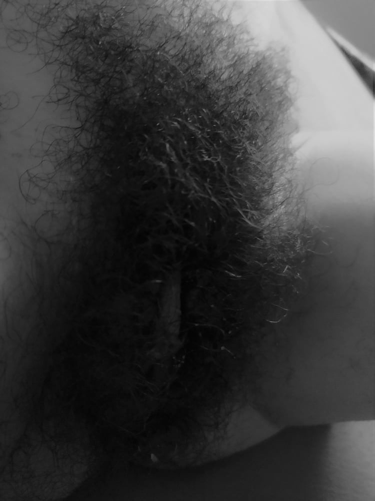 hairy #19