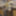 Pixwhores Experimental: Adult Bookshop #27