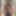 Cock pics Fall-Winter 2024