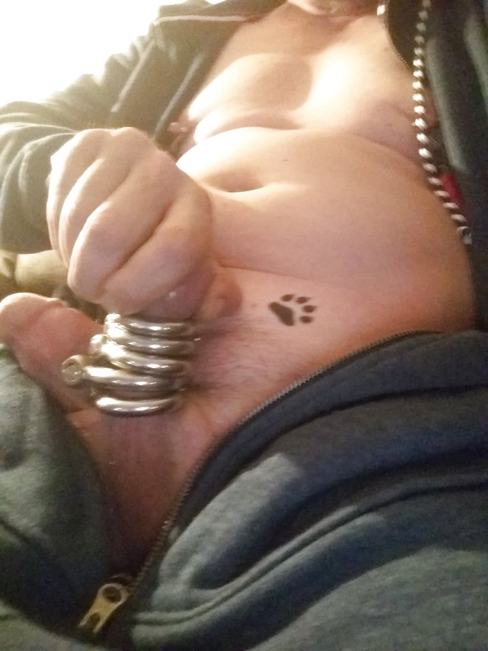 Paws Cock and Shackles #6