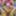 NEW 2019 Pics #38