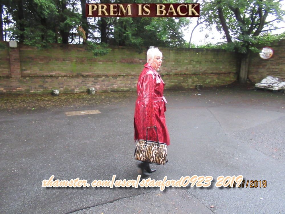 PREM SLUT #49