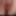 desired pictures for Budy 8219