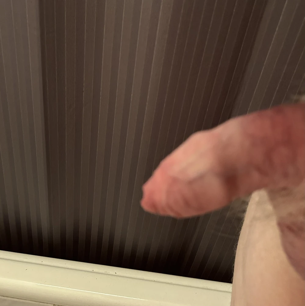 My Little Penis  #2