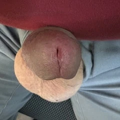 Mein Schwanz