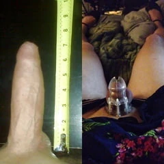 cock comparisons