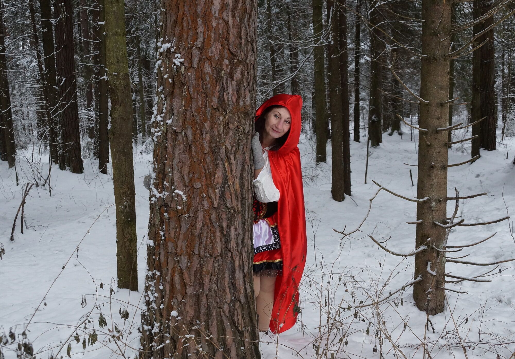 Little Red Riding Hood on a forest path #25