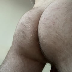 Ass and asshole 