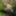 Flashing in the woods Stockings and Suspenders #57