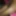 My uncut dick