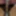 Mandatory weighing cagecheck plugcheck November 21, 2023 #4