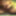 sounding dildo lingerie  shemale 5