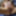 YOU WANT TO SEE HOW I MASTURBATE !!! #31