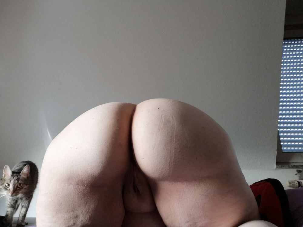 Butt #8