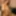 Big Boobed Brunette Ripping Her Tan Pantyhose