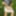 Outdoor Pantyhose Games