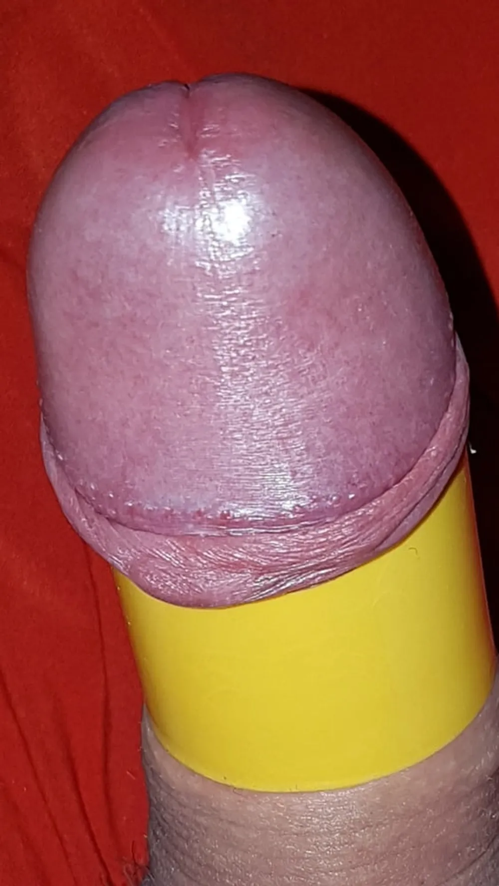 Cock ring #18