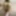 Photo Collection
