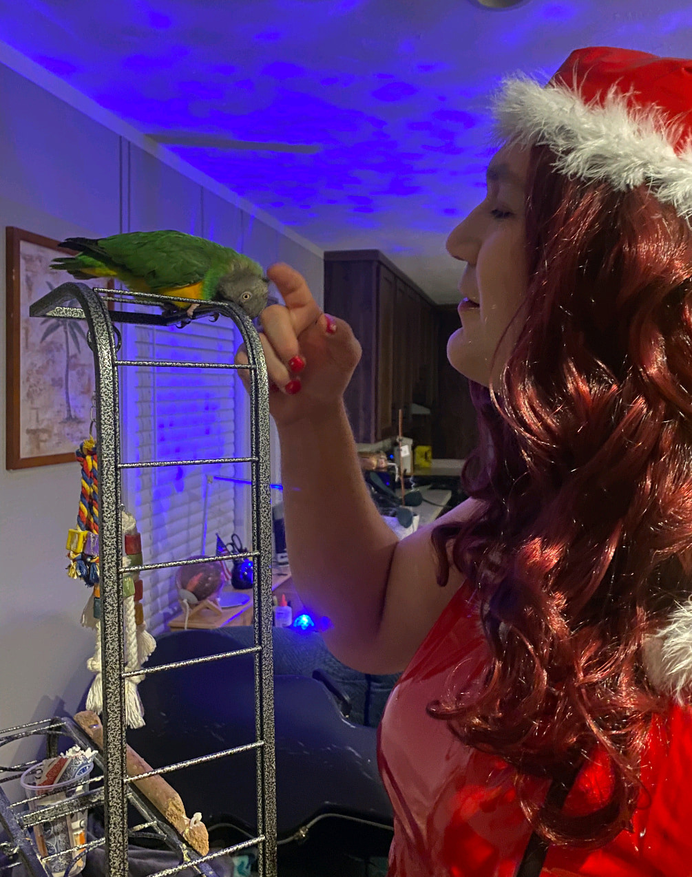 Christmas 2025 #37