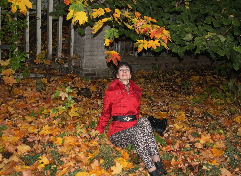 Autumn Album 3 #48