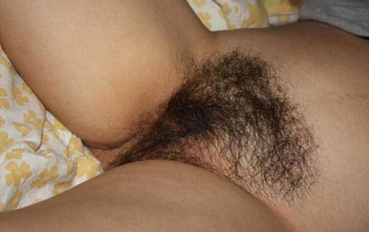 Hairy Pussy #24